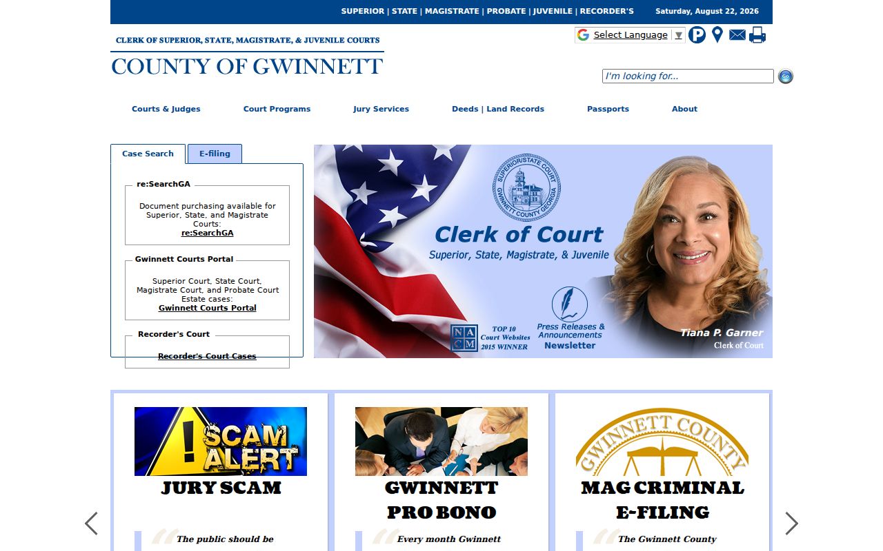 Gwinnett courts website used during a Duluth resident lookup